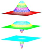 neutron charge distribution